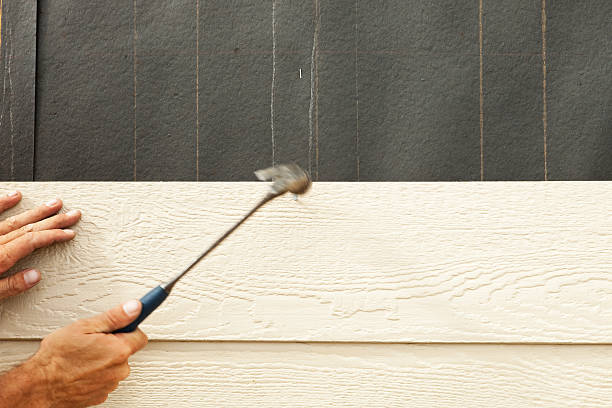 Best Stucco Siding  in Sesser, IL